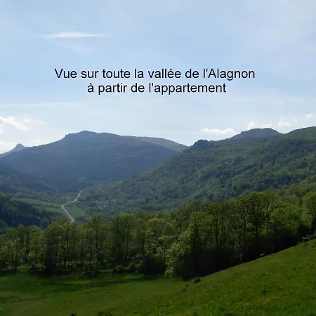 Au Pied Des Monts Du Cantal アパート *