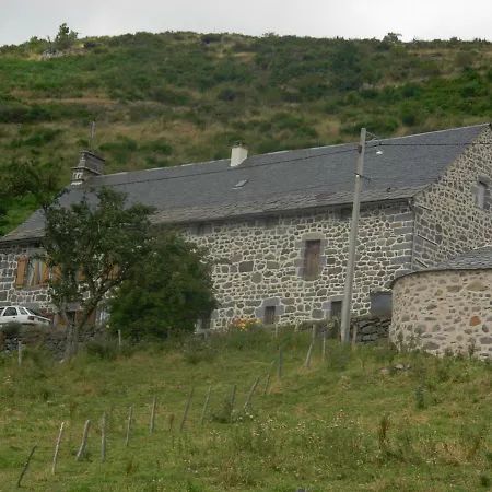 Au Pied Des Monts Du Cantal * Laveissière