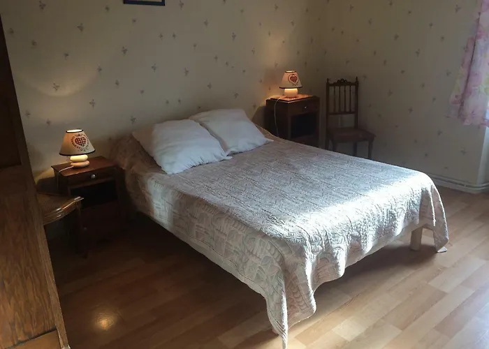 Au Pied Des Monts Du Cantal Апартаменты Laveissiere