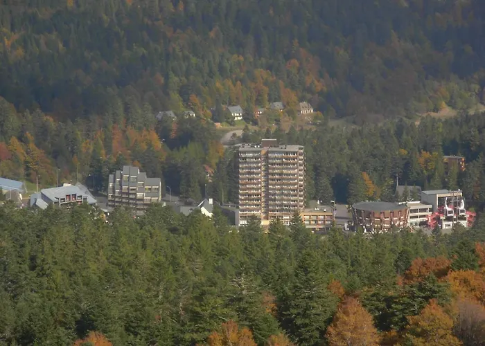 Au Pied Des Monts Du Cantal